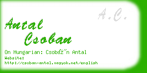 antal csoban business card